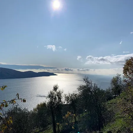 Belvedere