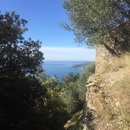 Belvedere Villa *
