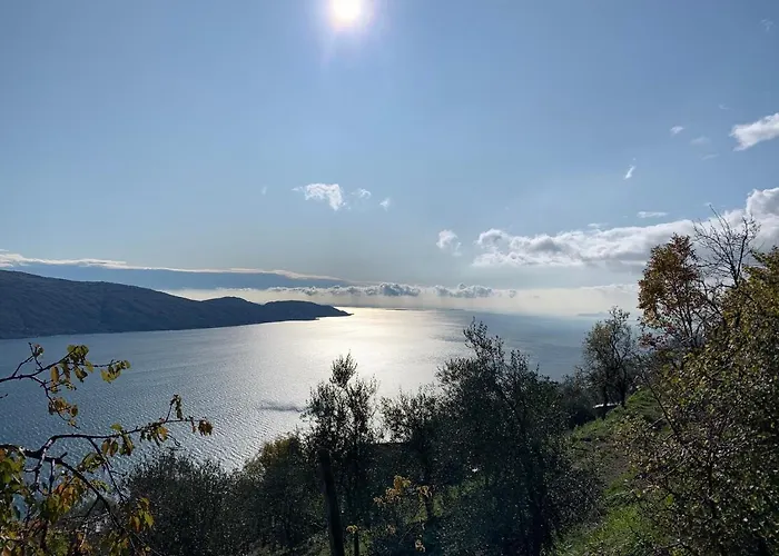 Belvedere