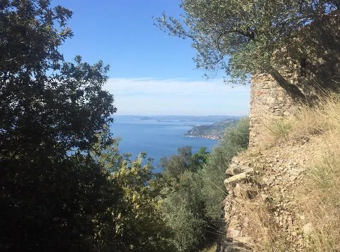 Belvedere فيلة *